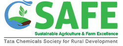 C-Safe-Logo